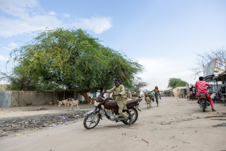 A Baga Sola, dans la province du lac Tchad, le 26 juin 2025 au Tchad ( AFP / Joris Bolomey )