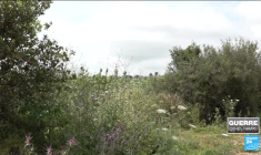 Israël : reportage dans le nord du pays, une zone vidée de ses habitants