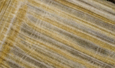 La Commission européenne va aménager sa taxe carbone aux frontières sur les engrais importés, afin d'éviter une hausse des prix dans une période de crise agricole ( BELGA / NICOLAS MAETERLINCK )