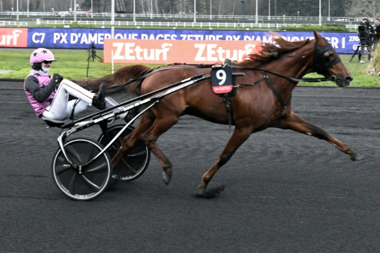 Jean-Michel Bazire remporte le Prix d'Amérique avec le cheval Hooker Berry, le 29 janvier 2023 ( AFP / STEPHANE DE SAKUTIN )