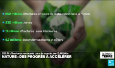 Restauration de la nature : l'ONU appelle le monde à accélérer les efforts