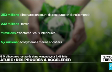Restauration de la nature : l'ONU appelle le monde à accélérer les efforts