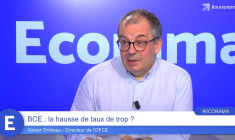 BCE : la hausse de taux de trop ?