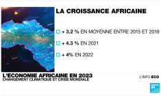 Crise mondiale et changement climatique : quels impacts économiques en Afrique ?