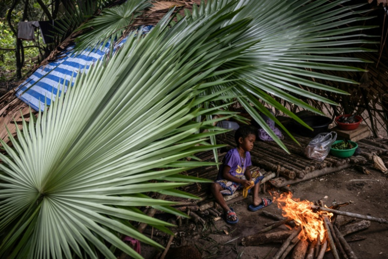 Un enfant membre du groupe ethnique des Maniqs, le 11 août 2025 dans sa hutte à Phatthalung, dans le sud de la Thaïlande ( Courtesy of Luke Duggleby / Luke Duggleby )