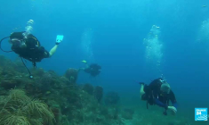 Guadeloupe : les trésors de l'archipel papillon