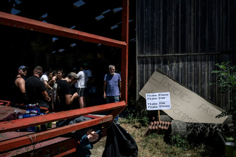 Eleveurs et voisins réunis dans une exploitation pour empêcher l'euthanasie par les services vétérinaires d'un cheptel de bovins après un cas de dermatose nodulaire, le 11 juillet 2025 à Entrelacs, en Savoie  ( AFP / JEFF PACHOUD )
