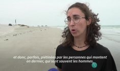 Migrants : quatre morts dans deux tentatives de traversée de la Manche