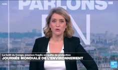 Journée mondiale de l'environnement : la RD Congo veut reboiser ses terres