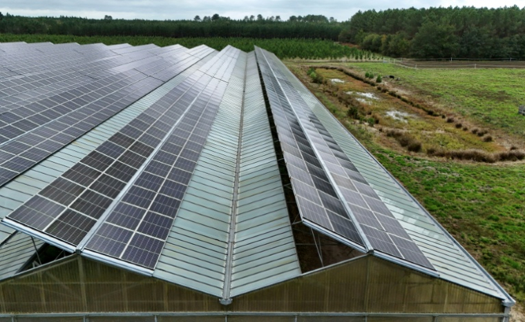 Une serre dont le toit est en partie constitué de panneaux photovoltaïques, au Temple, le 3 octobre 2025 en Gironde ( AFP / Christophe ARCHAMBAULT )