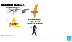 Une nouvelle espèce d'homme préhistorique découverte en Israël