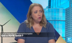 Lois et majorités au Parlement européen - Qui a voté quoi?
