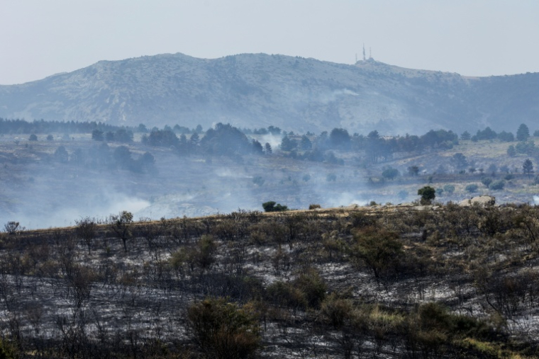 Près de la ville d'Albendiego, dans la province de Guadalajara, le 22 juillet 2026 ( AFP / Pierre-Philippe MARCOU )