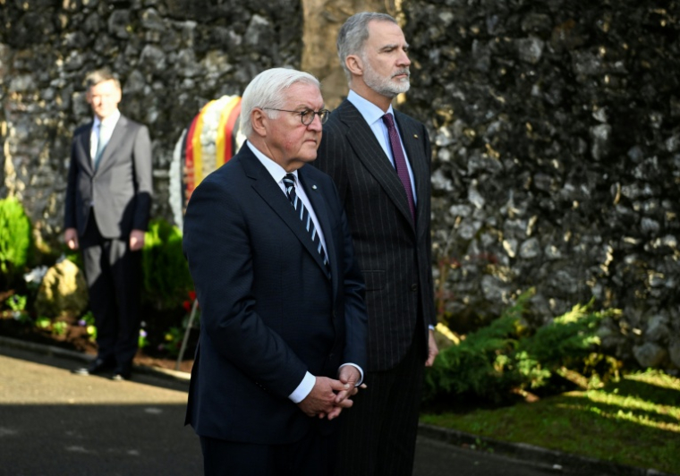 Le président allemand Frank-Walter Steinmeier (g) et le roi d'Espagne Felipe VI lors d'une cérémonie à Guernica, le 28 novembre 2025 ( AFP / ANDER GILLENEA )