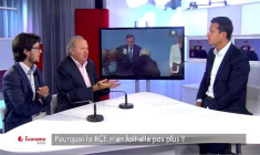 Pourquoi la BCE n'en fait-elle pas plus ?