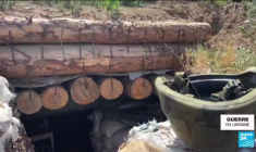 Ukraine : Kiev prépare une contre-offensive pour reprendre la région stratégique de Kherson