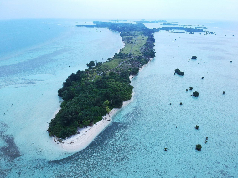 (Crédits photo : Wikimedia Commons - Lucky Christiawan )