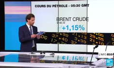 Guerre en Ukraine : l'UE veut s'attaquer au pétrole russe