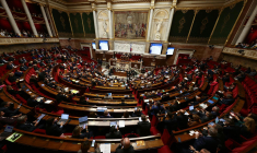 ( AFP / THOMAS SAMSON )