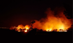Un homme a réclamé plus de 16 000 euros aux pompiers après un incendie qui a ravagé une partie de son jardin. (illustration) (valtercirillo / PixabayVALTERCIRILLO / PIXABAY)