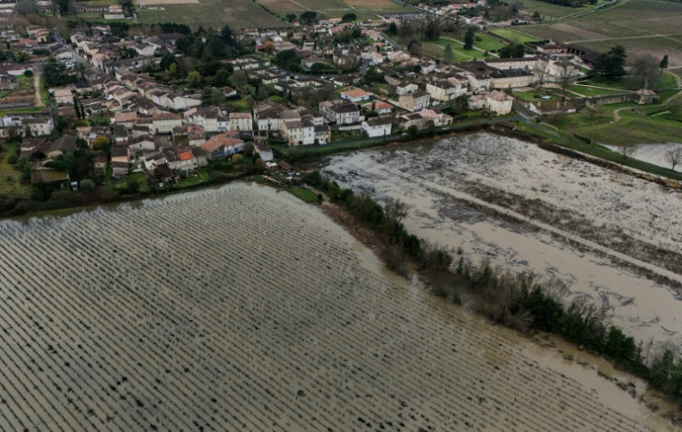 Des vignes inondées le long de la Garonne à Portets près de Bordeaux, le 5 février 2026 ( AFP / Christophe ARCHAMBAULT )