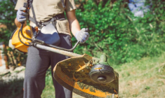 zoff/Shutterstock / zoff