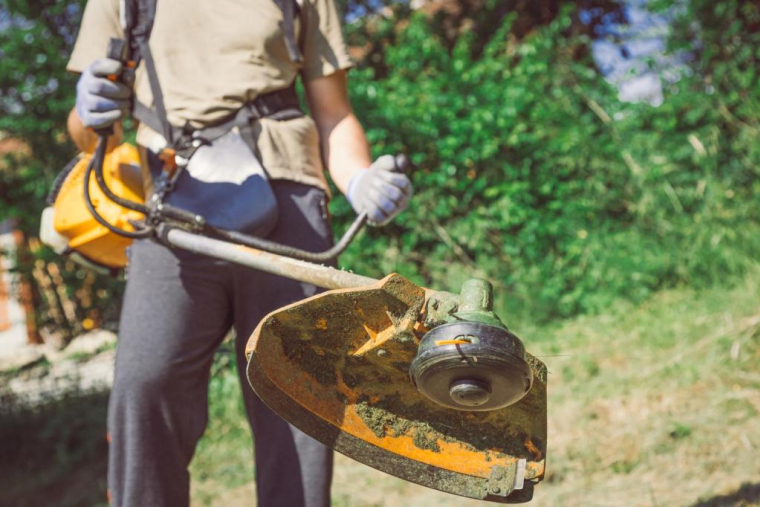 zoff/Shutterstock / zoff