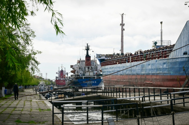 Des navires de commerce amarrés au port de Sulina en Roumanie, le 8 mai  2026 ( AFP / Daniel MIHAILESCU )