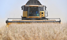 ( AFP / JEAN-FRANCOIS MONIER )