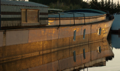 (Crédits photo : Pixabay - jacqueline macou )