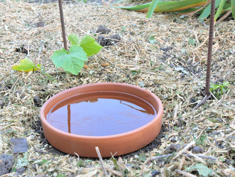 Des équipements simples et peu coûteux permettent de réduire la consommation d’eau au jardin pendant l’été. ( crédit photo : Shutterstock )
