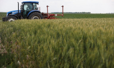 UKRAINE: 11 À 19 MILLIONS DE PERSONNES MENACÉES DE FAMINE DANS LE MONDE