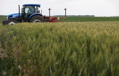 UKRAINE: 11 À 19 MILLIONS DE PERSONNES MENACÉES DE FAMINE DANS LE MONDE