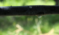 ( AFP / GUILLAUME SOUVANT )