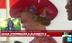 Décès d'Elizabeth II : les réactions en Afrique du Sud