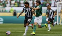 Palmeiras vient à bout de Botafogo au bout de l'ennui