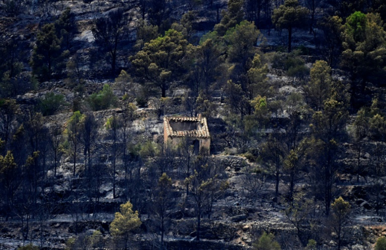 Une maison et des arbres calcinés par un feu de forêt près de Tarragone, le 8 juillet 2025 en Espagne ( AFP / JOSE JORDAN )