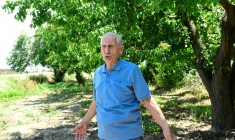 Le producteur d'abricots Aramais Kazaryan, lors d'un entretien avec l'AFP dans son verger du village de Vosketap, dans la vallée de l'Ararat, le 9 juin 2026 en Arménie ( AFP / KAREN MINASYAN )