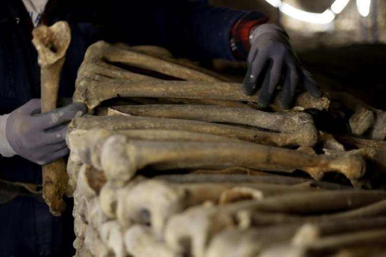 Un ouvrier construit un mur avec des ossements humains lors des travaux de restauration des Catacombes de Paris, le 24 mars 2026 ( AFP / Kenzo TRIBOUILLARD )