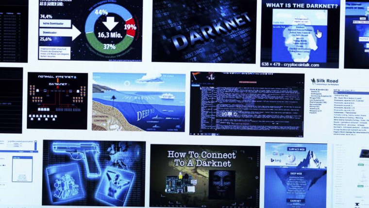 Lesvrais revenus du Darknet