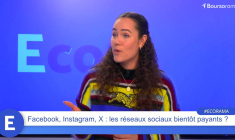 Facebook, Instagram, X : les réseaux sociaux bientôt payants ?