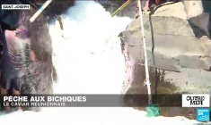 Les négociations de sortie de crise se poursuivent en Guadeloupe et en Martinique