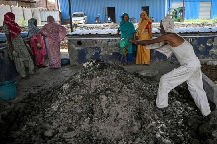 Un ouvrier travaille à la fabrication d'un engrais naturel dans une usine de biofertilisants à Bharatpur, en Inde, le 9 juin 2026  ( AFP / Arun SANKAR )