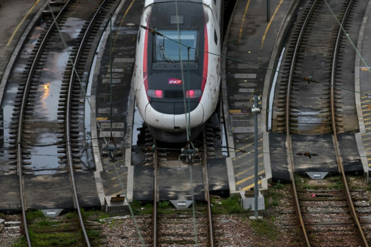 Un train TGV InOui est stationné dans la gare de triage de Charenton-le-pont, pendant une grève des contrôleurs, à Paris, le 16 février 2024 ( AFP / Ian LANGSDON )