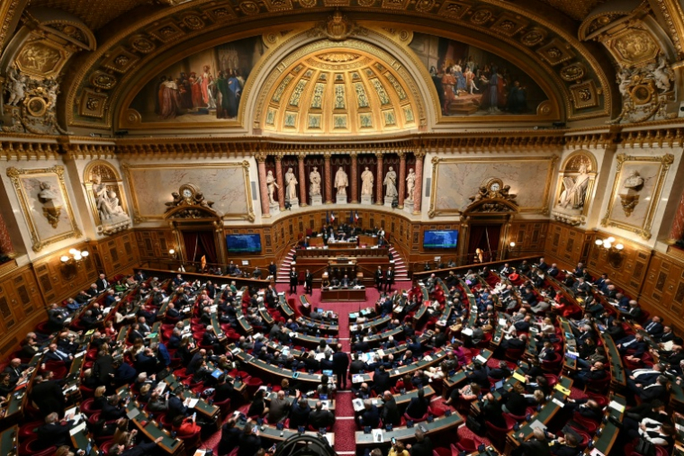 Vue montrant le Sénat français en séance, le 2 avril 2024 à Paris ( AFP / Bertrand GUAY )