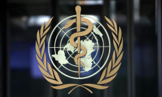 COVID: L'OMS ÉVOQUE UN VIRUS DE CHAUVE-SOURIS TRANSMIS À L'HOMME PAR UN AUTRE ANIMAL, RAPPORTE L'AP