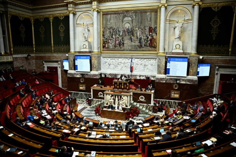 La question de la fin de vie fait son retour dans l'hémicycle de l'Assemblée nationale, avec en perspective la création d'un "droit à l'aide à mourir" que l'exécutif veut "très encadré" ( AFP / JULIEN DE ROSA )