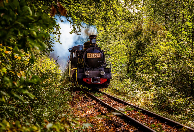 S'émerveiller grâce au slow train