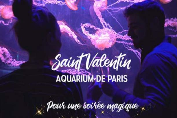 Vol en hélicoptère, dîner sur les toits de Paris, massage à domicile… 7 idées pour une Saint-Valentin originale (Crédit photo : site internet aquariumdeparis.com)