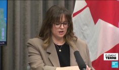 Feux de forêt au Canada : plus de 4,5 millions d'hectares brûlés depuis mai